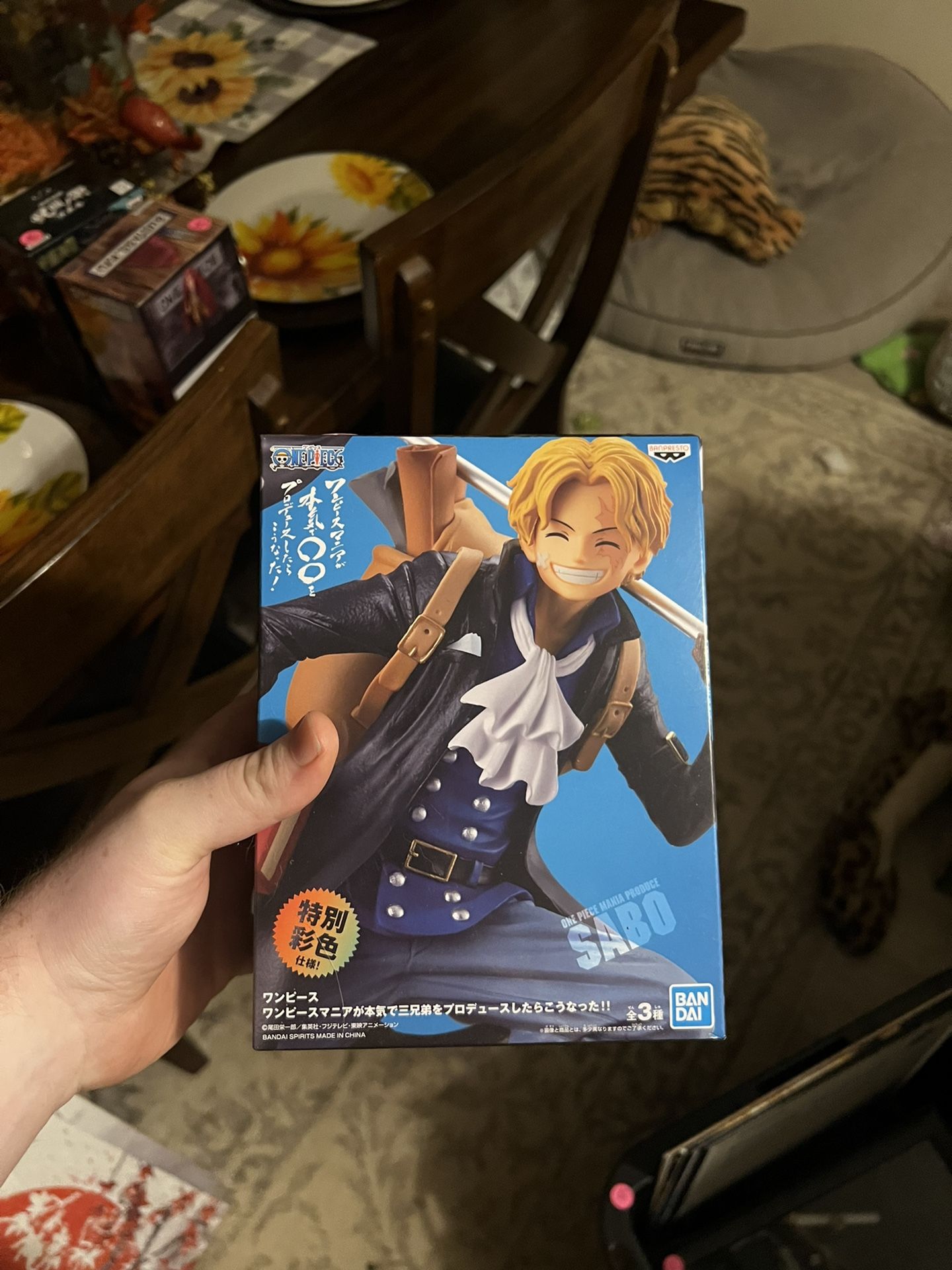 Anime Action Figure