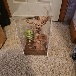 Tarantula Cage