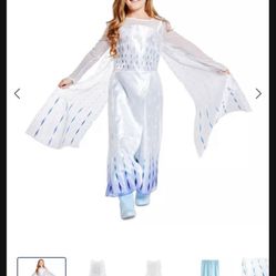 Elsa Costume (Frozen)