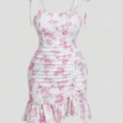 Brand New 2xl Dress $10