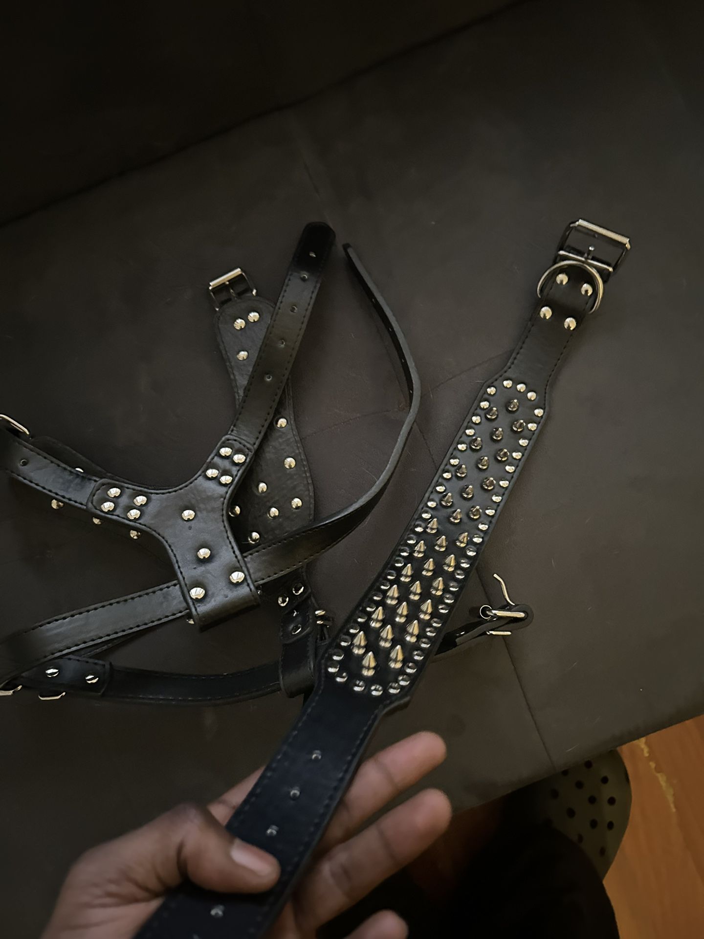 Spiked Dog Collar and Harness Set