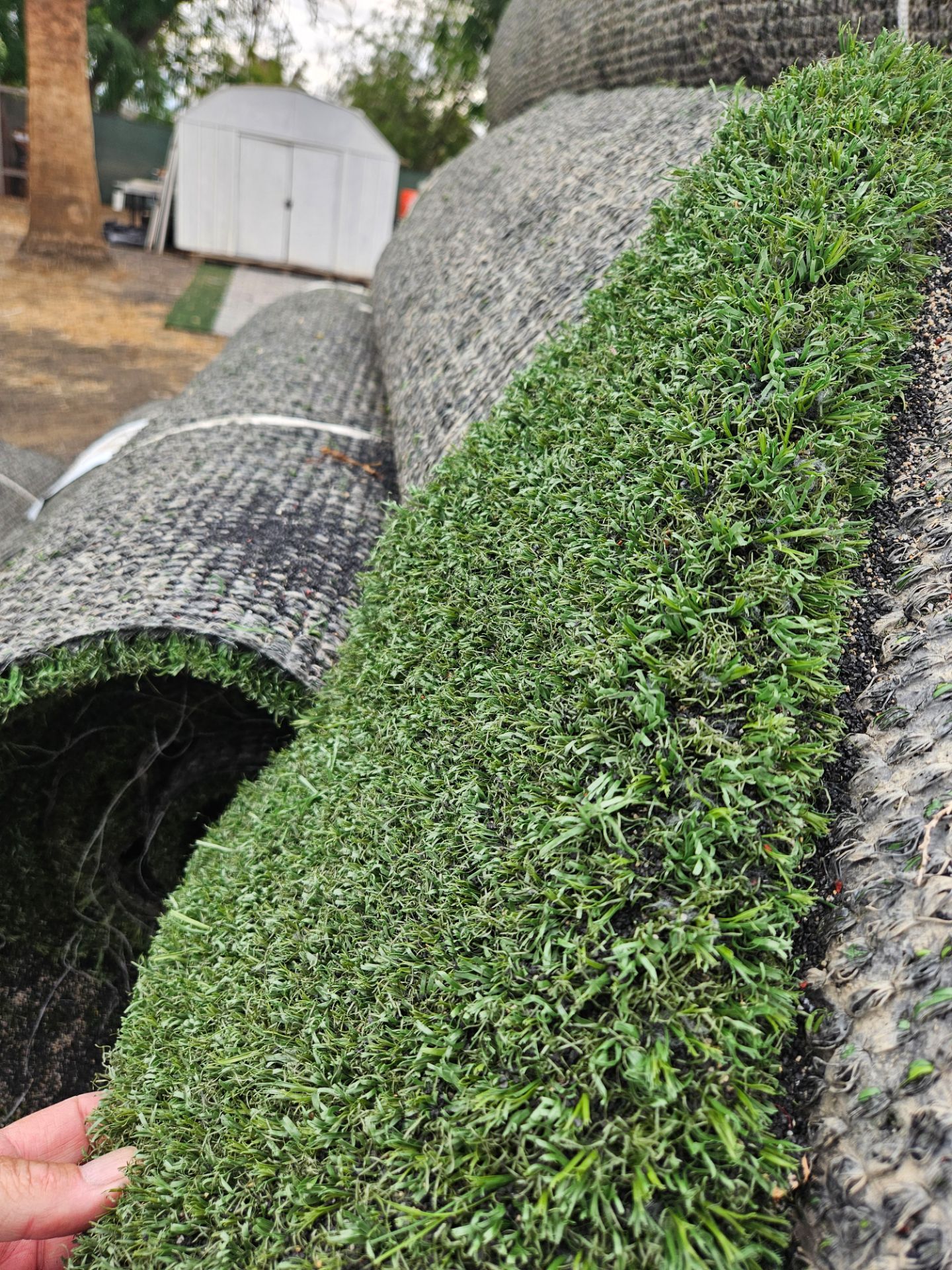 used turf 99.00 ea Perris.ca for Sale in Murrieta, CA - OfferUp