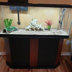 Beautiful 45 gallon Complete Aquarium Set