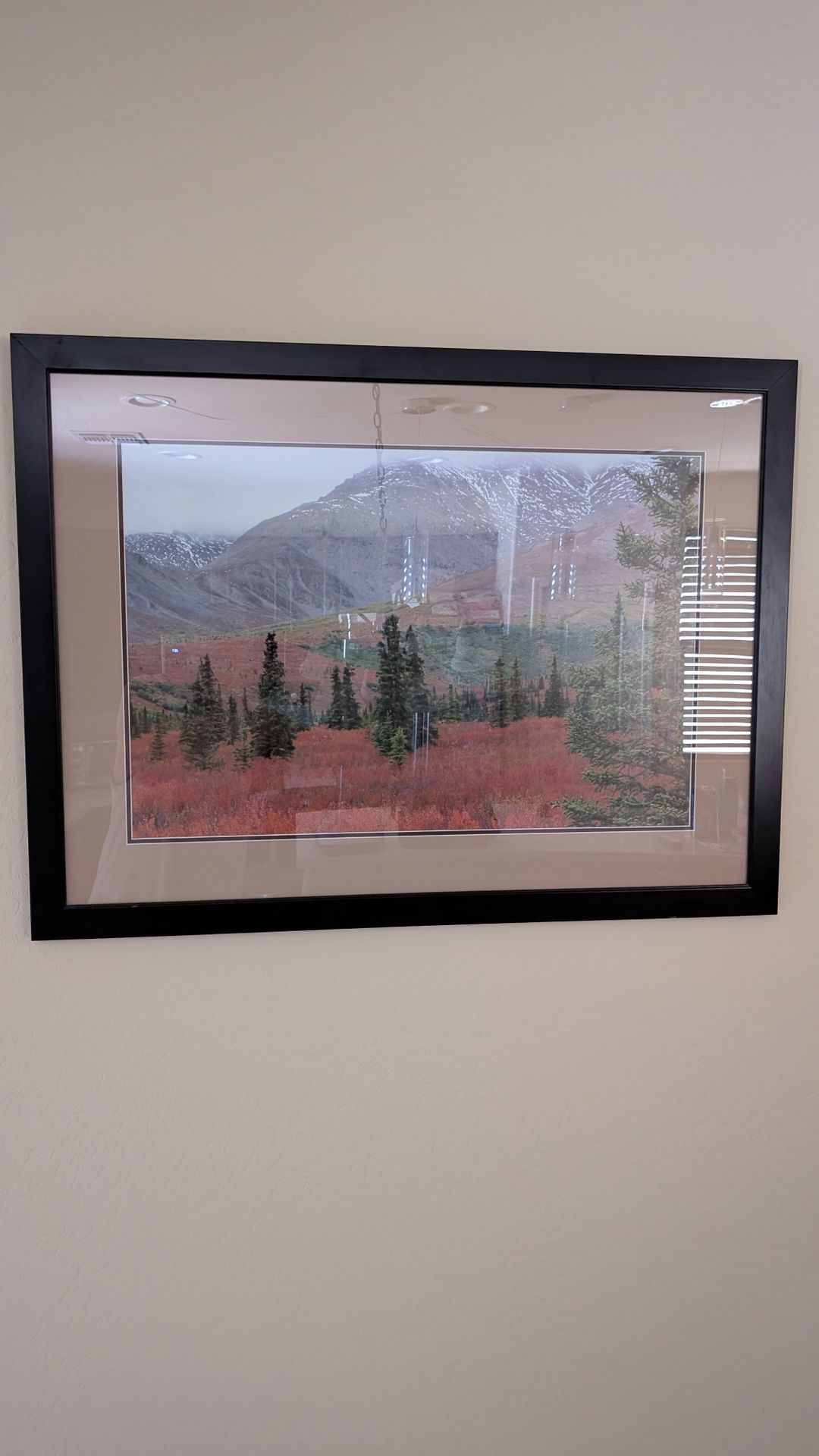 Framed Painting of Scenery in Denali National Park
