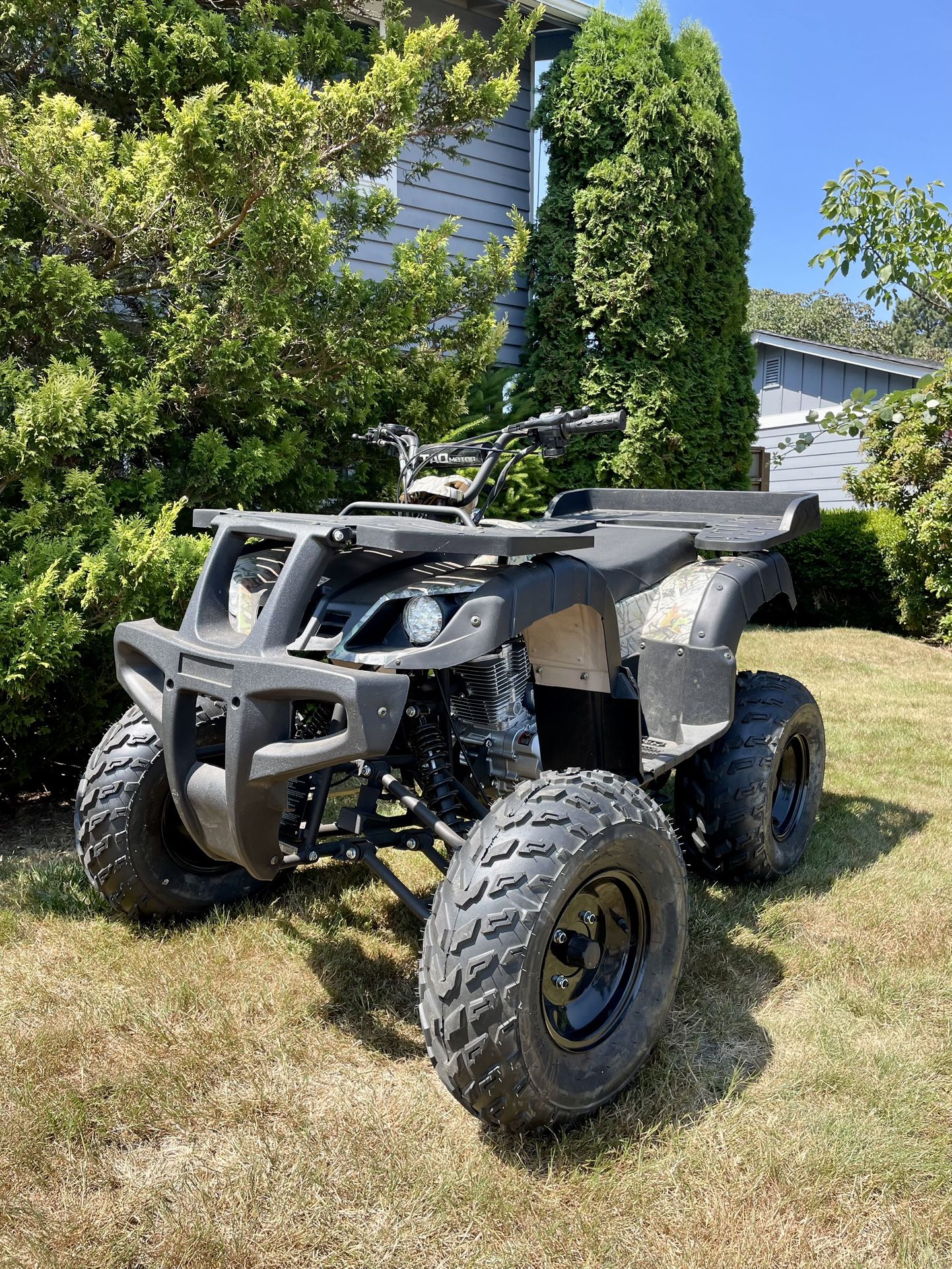 new 250cc taotao rhino utility atv