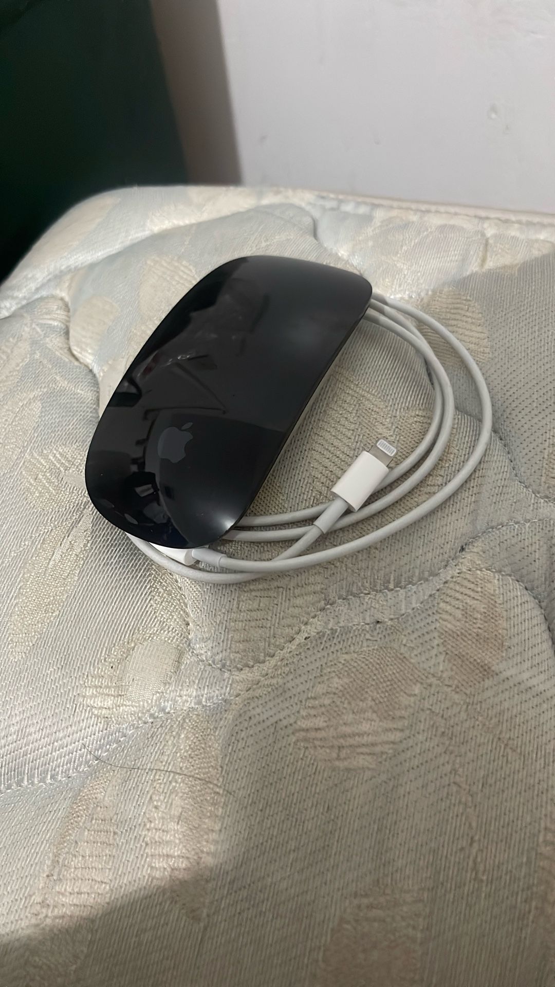 Apple Mouse