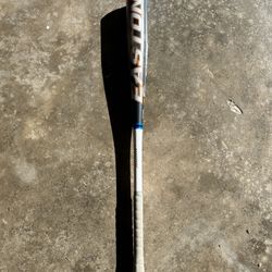 Easton Baseball Bat