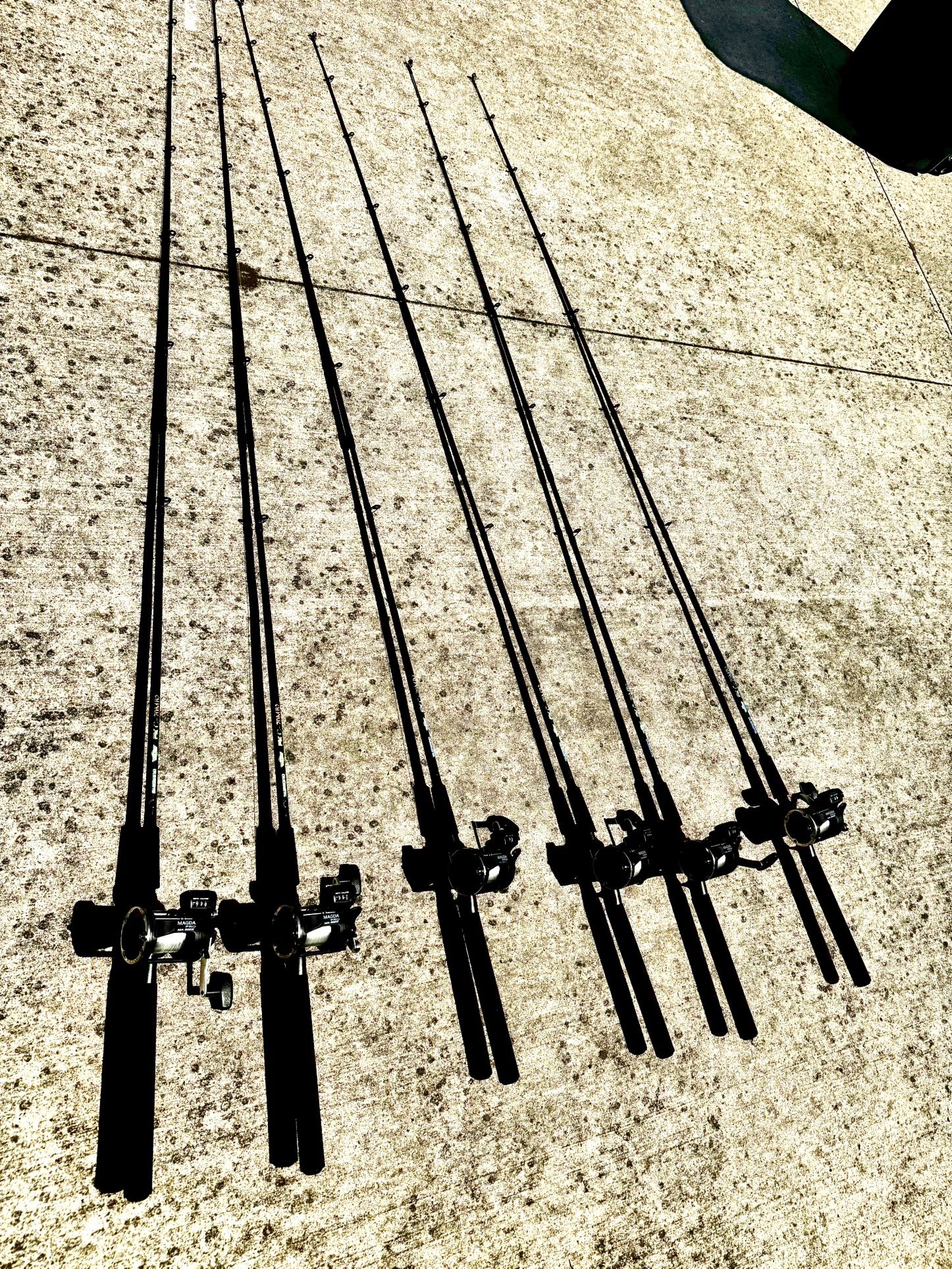 3 Shimano Trolling Fishing Rods W/Okuma Magda Pro Depth Counter Reels