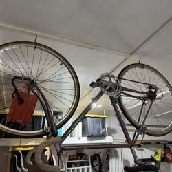 Raleigh Technium 