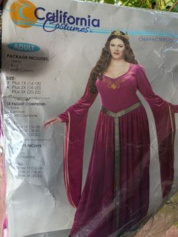 Plus size costume 2X New