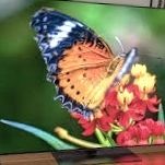 4K LG TV 55 Inch