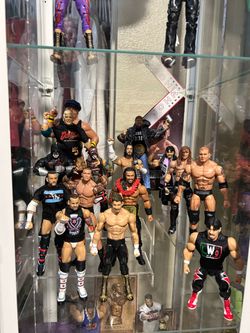 WWE action figures