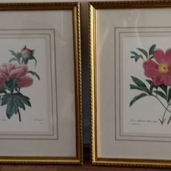 Framed botanical prints titled 'Peonies' after Pierre-Joseph Redouté
