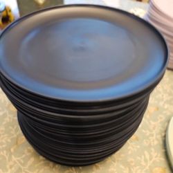 42 Plastic Plates, Elderberry