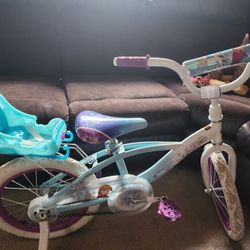 Frozen Bicycle 