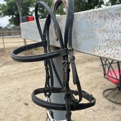 Bridle