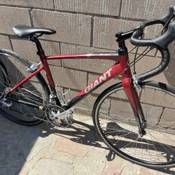 Giant Avail Road Bike