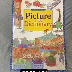 My first Big Book Picture Dictionary 