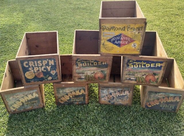 6 Vintage Apple Crates $30