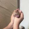 Alvin