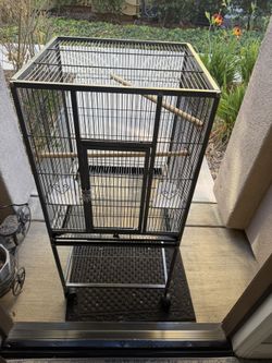 Bird Cage