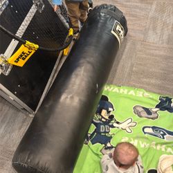 Hanging Punching Bag 