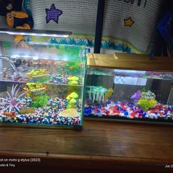 2 Complete Beta Fish Tanks