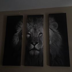 Lion Picture Frames Wall Art