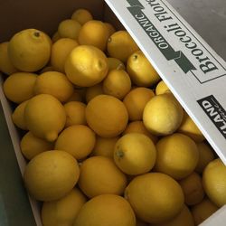 your choice of lemons!