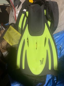 Speedo dive