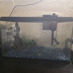 25 Gallon Fish Tank