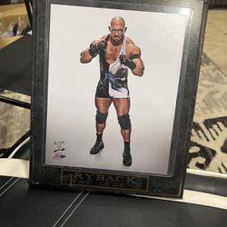 Portrait Of WWE Legend Ryback