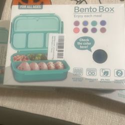 Bento Box