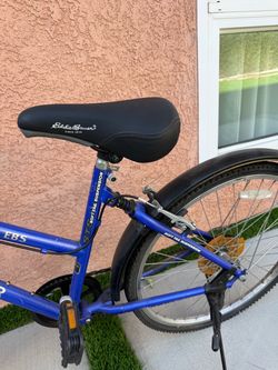 Eddie Bauer Bike