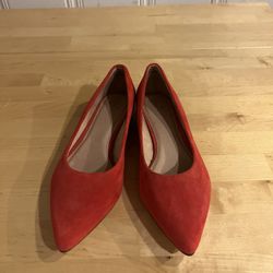 Pointy Toe Flats