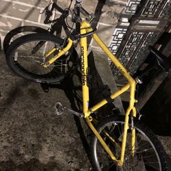 Rare Find 