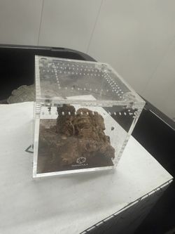 Tarantula crib