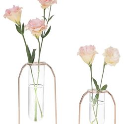 Rose Gold Glass Vases- 2 Sizes 