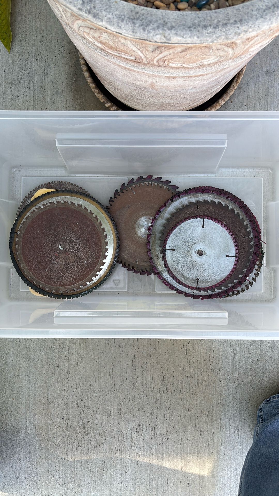 Assorted Carbide Saw Blades