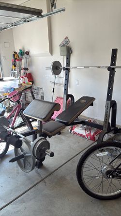 Olympic weights and bench