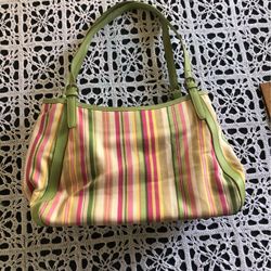 Fossil Bag/Purse 