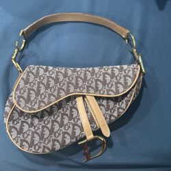 Dior Purse Saddle Bag