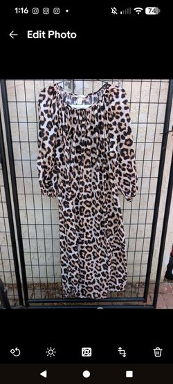 H&M Leopard Print Long Sleeve Maxi Dress