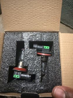 H11 Halogen Headlight Bulbs Pair