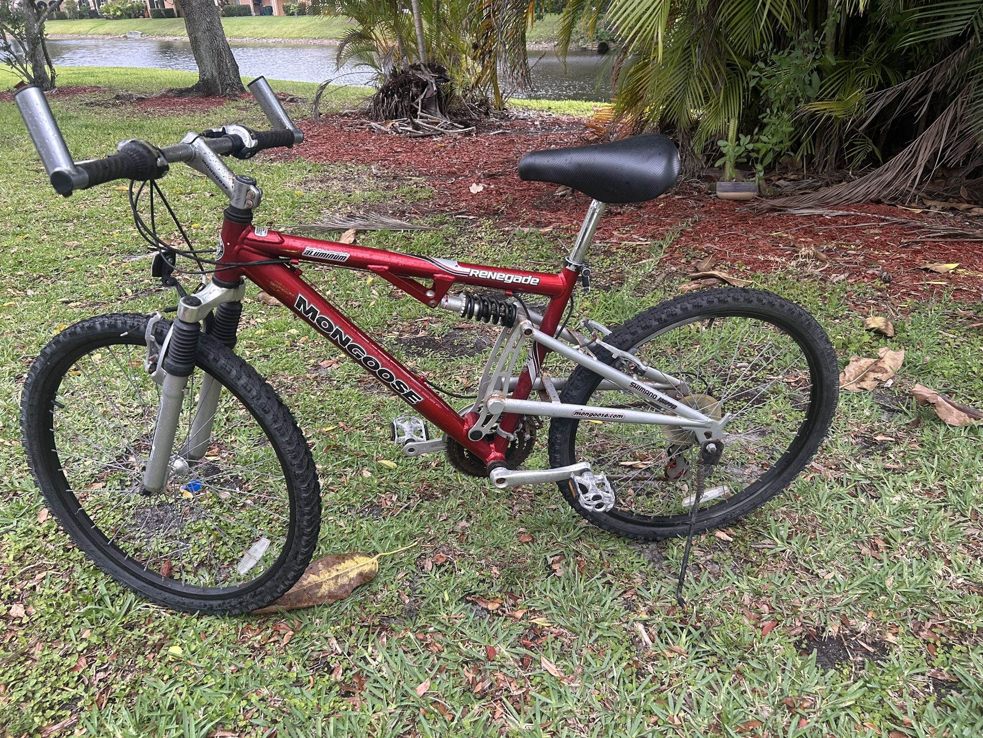 Mountain bike