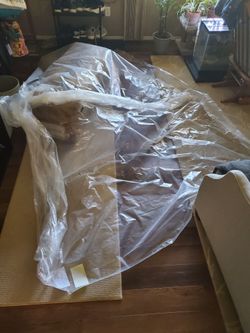 Free big plastic sheets for painting