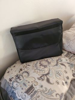 Projector Carrier