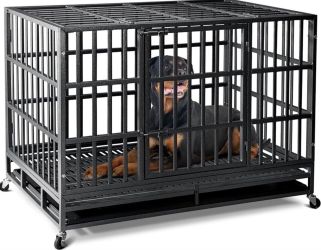 Oranland 48 inch Heavy Duty Dog Crate 