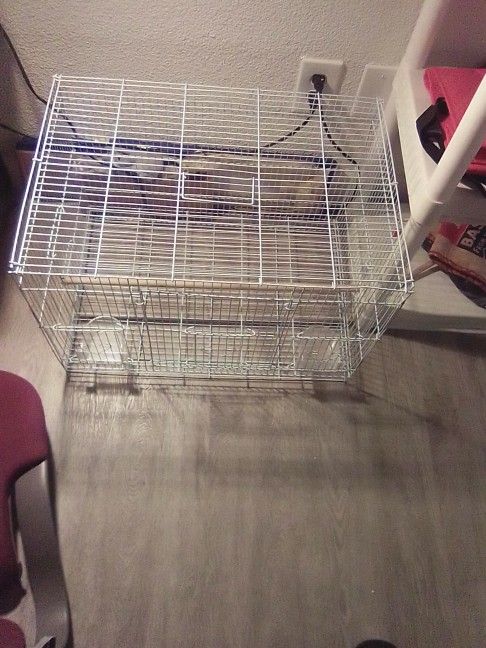 Bird/Rodent Cage