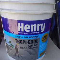 Silicone Henry 💯 $250 Obo